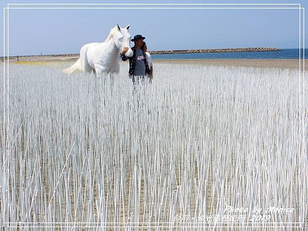 漁光島藝術節 2019(35).jpg