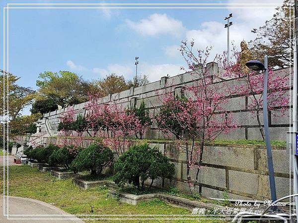 半天岩紫雲寺 2022(29).jpg