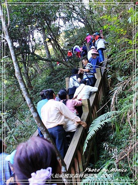 八仙山國家森林遊樂區 2015(4).jpg