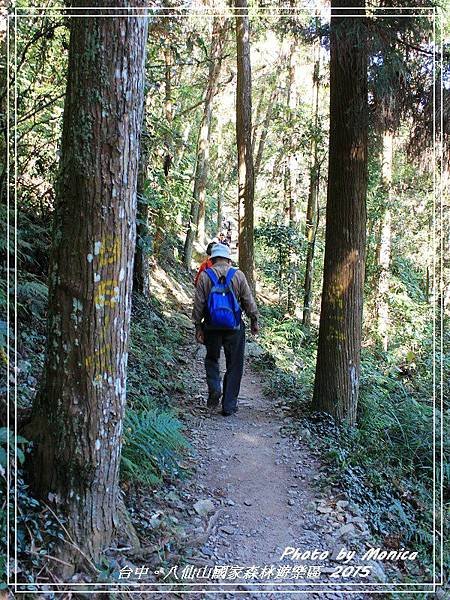 八仙山國家森林遊樂區 2015.jpg