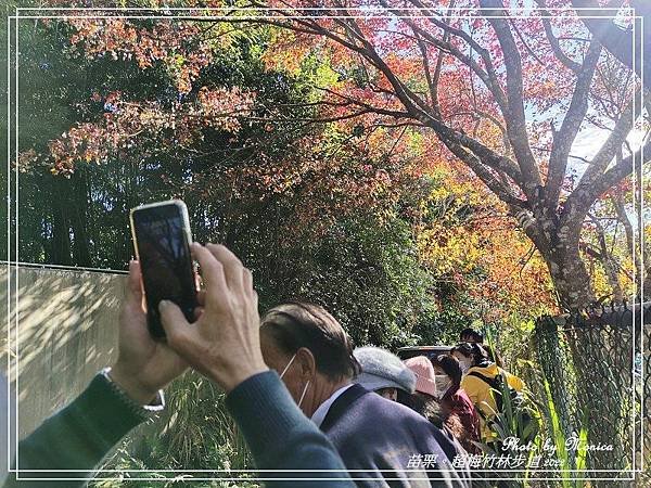 烏嘎彥超梅竹林步道 2022(1).jpg