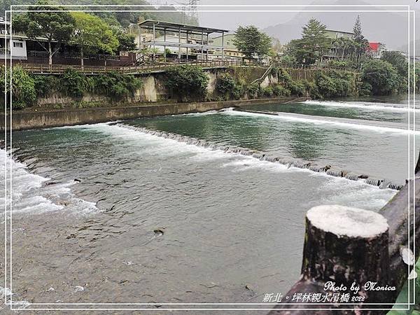 坪林親水吊橋 2022(6).jpg