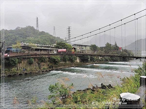 坪林親水吊橋 2022(9).jpg