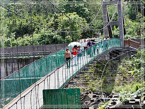 坪林親水吊橋(2).jpg