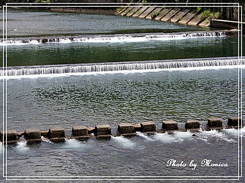 坪林親水吊橋(10).jpg