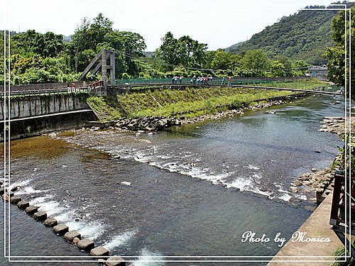 坪林親水吊橋.jpg