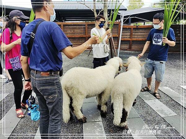 阿美阿嬤農場 2022(10).jpg