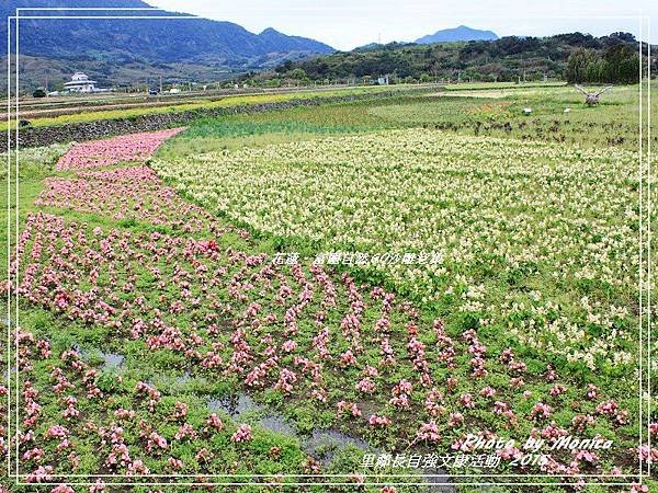 富麗自然GO沙雕意象 2015(18).jpg