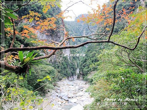 砂卡噹步道 2017(11).jpg