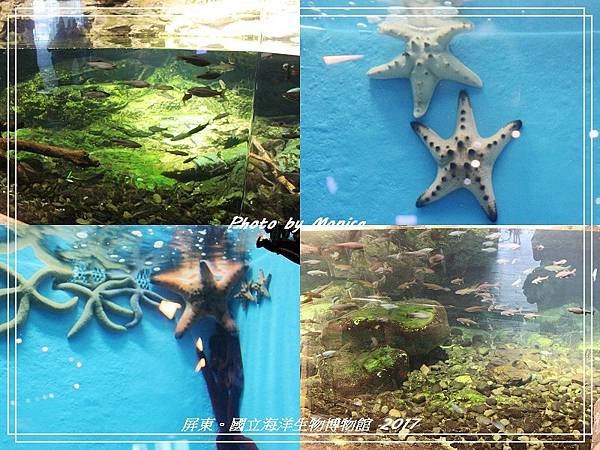 國立海洋生物博物館 2017(40).jpg