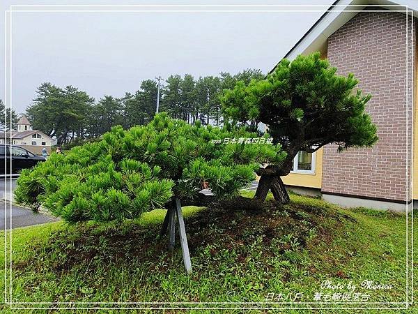 日本八戶。葦毛崎展望台