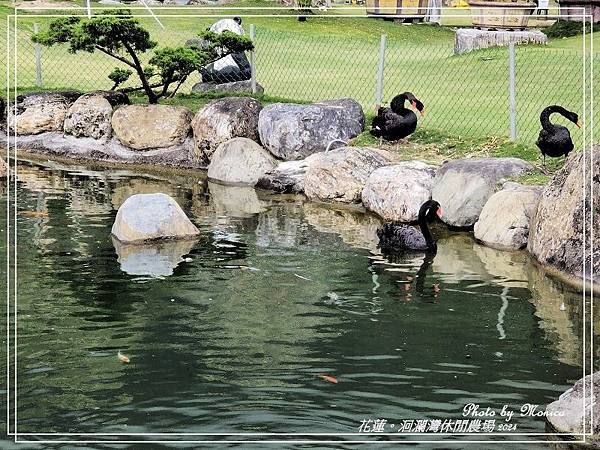 花蓮。洄瀾灣休閒農場