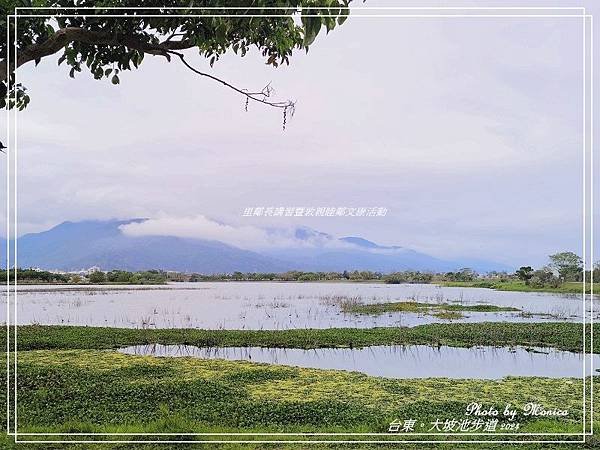 台東。大坡池環湖步道