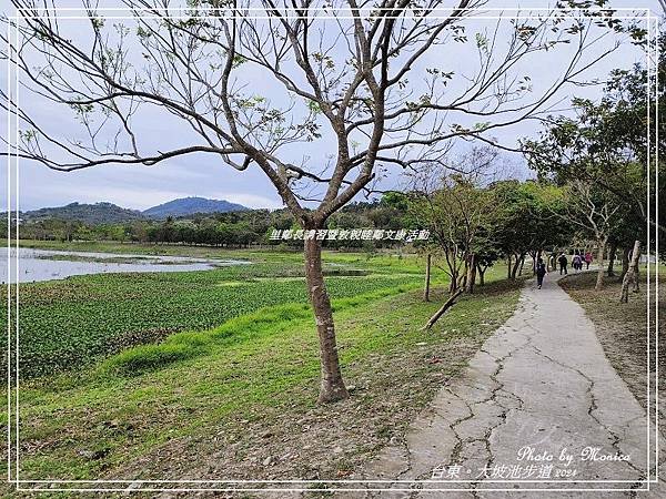 台東。大坡池環湖步道