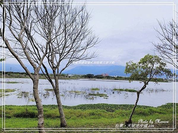 台東。大坡池環湖步道