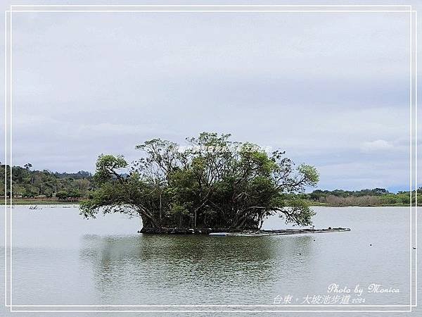 台東。大坡池環湖步道