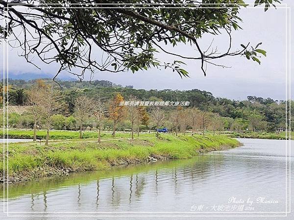 台東。大坡池環湖步道