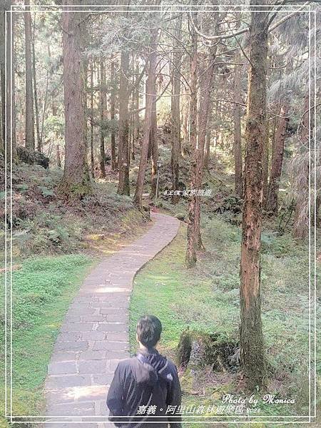 嘉義。阿里山森林遊樂區(一)