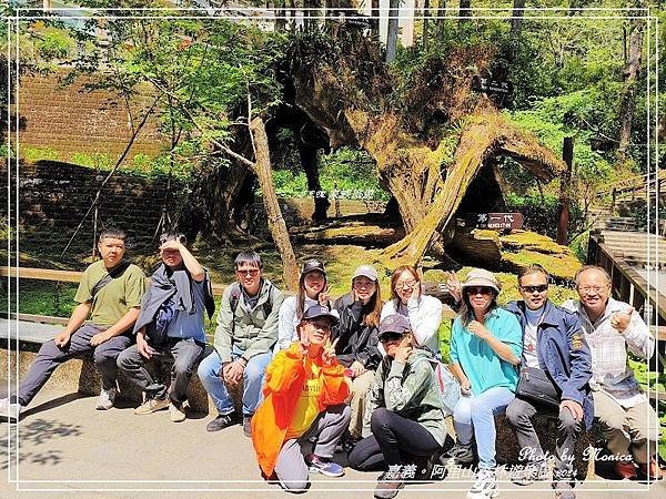 嘉義。阿里山森林遊樂區(三)