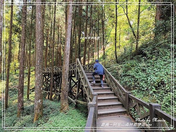 嘉義。阿里山森林遊樂區(四)