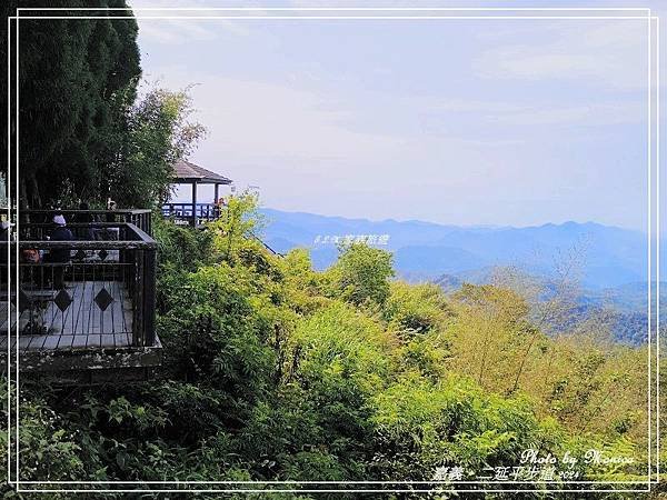 嘉義。二延平茶園之旅