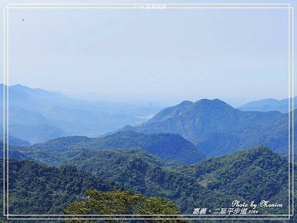 嘉義。二延平茶園之旅