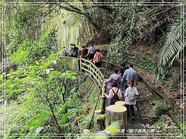 桃園。羅浮義興吊橋