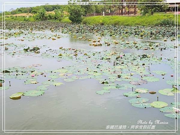 泰國芭達雅。爽泰度假莊園