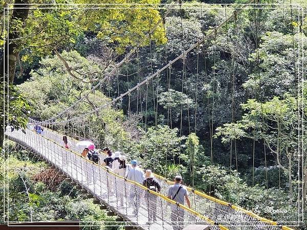 南投。武界輕旅行(二)