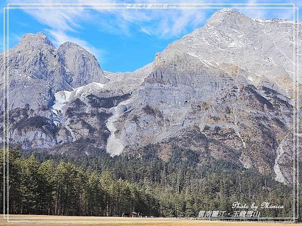 雲南麗江。玉龍雪山雲杉坪