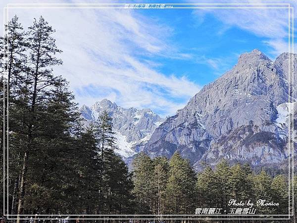 雲南麗江。玉龍雪山雲杉坪