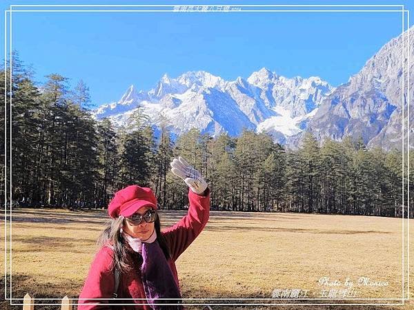 雲南麗江。玉龍雪山雲杉坪