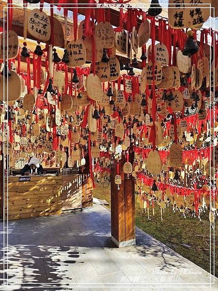 雲南麗江。玉龍雪山雲杉坪