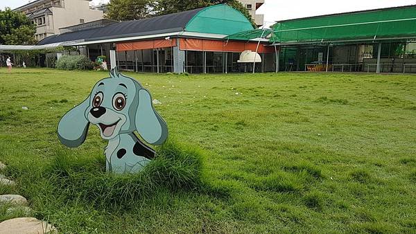 20190804_164435.jpg