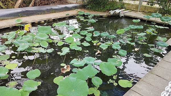 20190804_164556.jpg