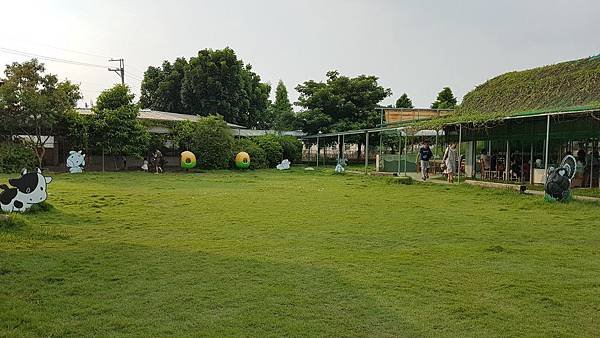 20190804_165605.jpg