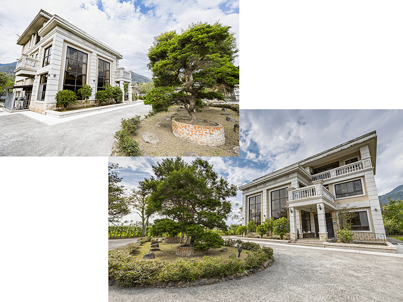 【南投清境民宿推薦】淺藏風歌｜三層樓獨棟包棟、坐擁山景與觀景