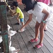 20160713_164748
