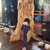 20161213_145649