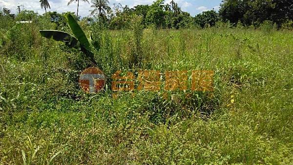 內埔竹圍面寬農地-內埔鄉竹圍段578地號-03.jpg