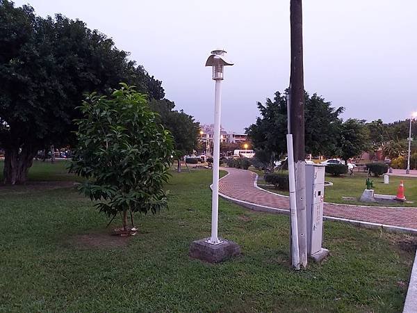 復興公園三角邊間透天_201117_1.jpg