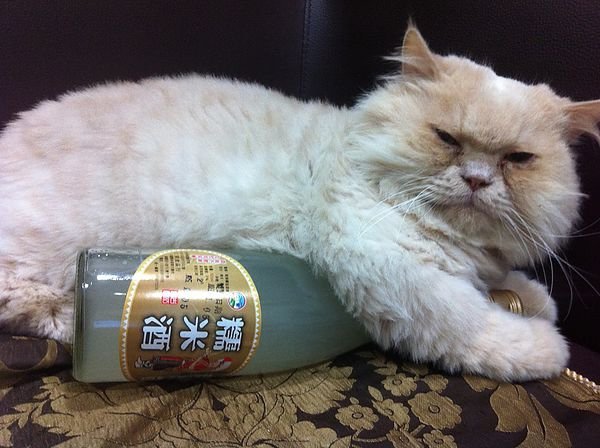 酒店經紀 酒店公關 酒店小姐 酒店工作 酒店薪水