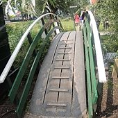 DSCN0237.JPG