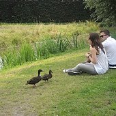 DSCN0244.JPG