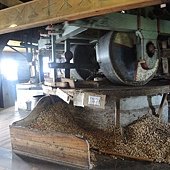 DSCN0289.JPG