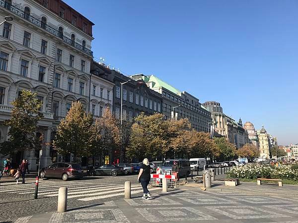 IMG_9485.JPG