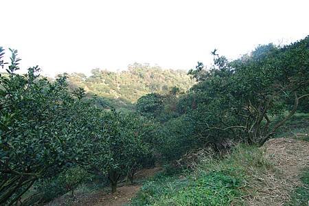 DSC_3693.JPG