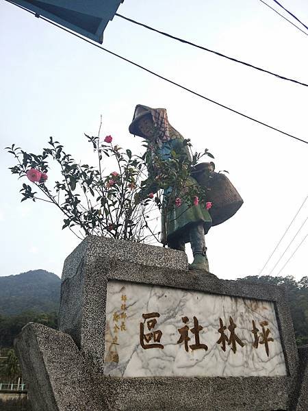 坪林茶葉博物館