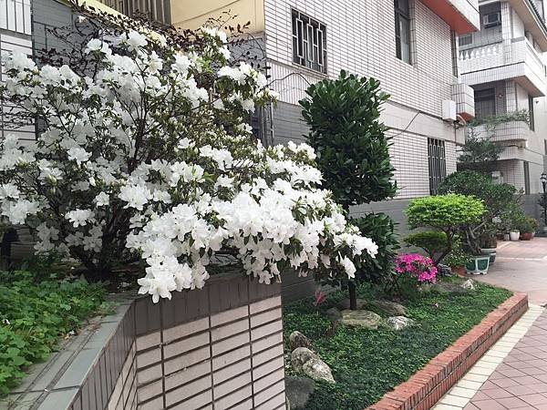 畢卡索花園別墅_6145.jpg
