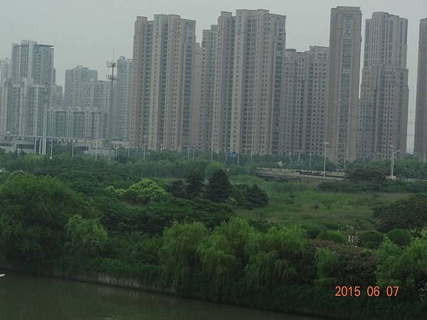 DSC06102.JPG